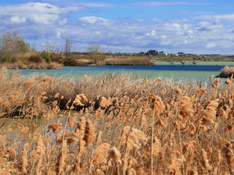 Lake Ivars and Vilasana