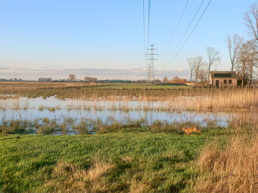 Jagershuisje Binnenveld