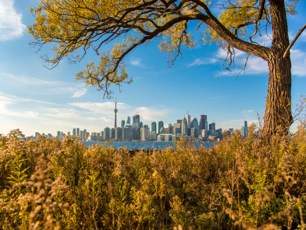 Natuur in Toronto