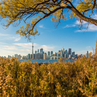 Afbeelding voor Natuur rond Toronto