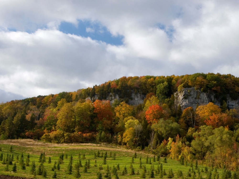 Rattlesnake Point in Milton