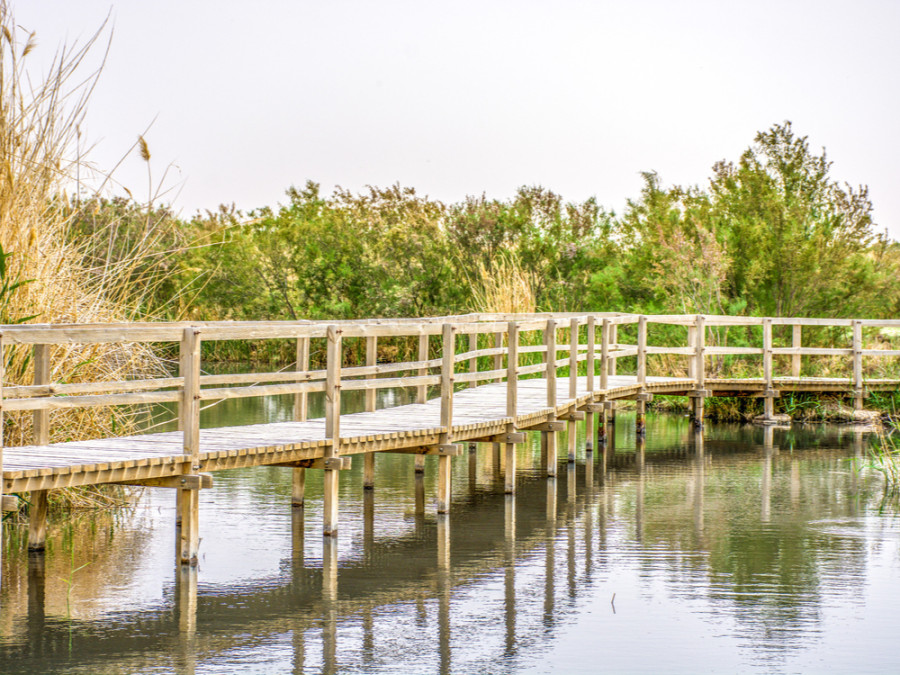 Azraq Wetland Reserve