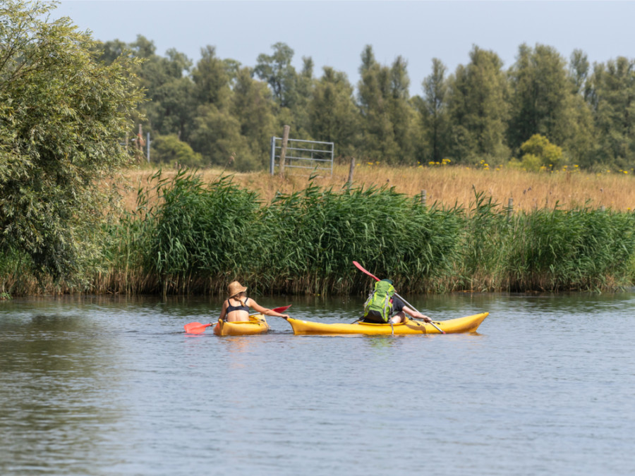 Kanoën in de Biesbosch