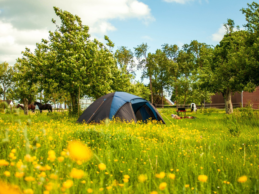 Kleine camping Noord-Holland Kleine camping Noord-Holland