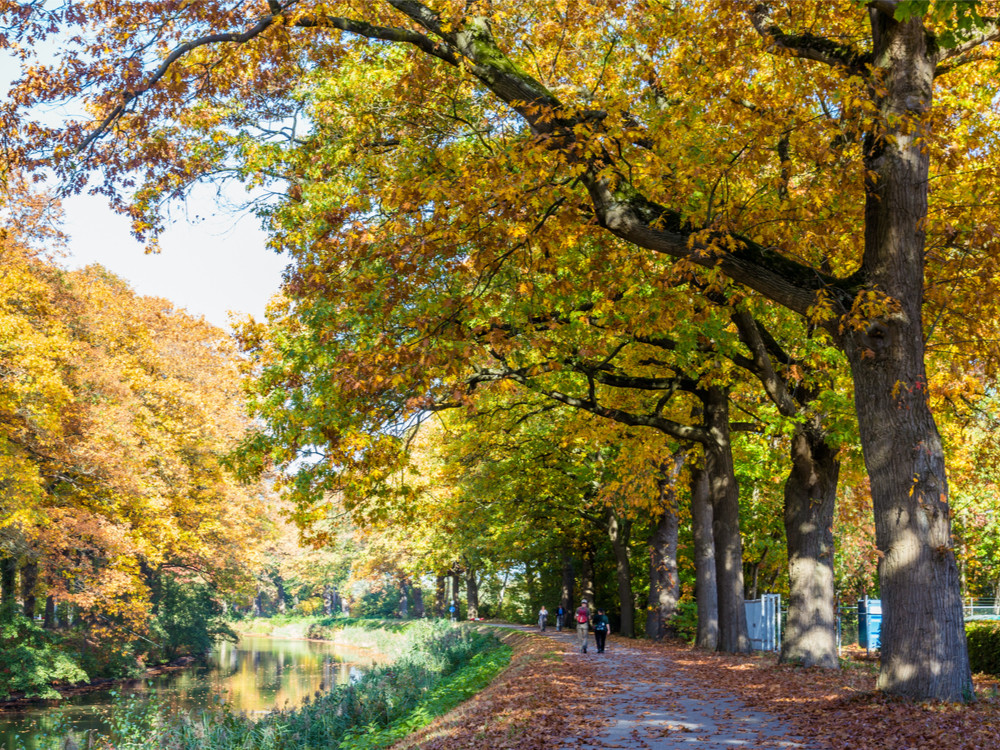 Wandelen langs het Apeldoornse Kanaal