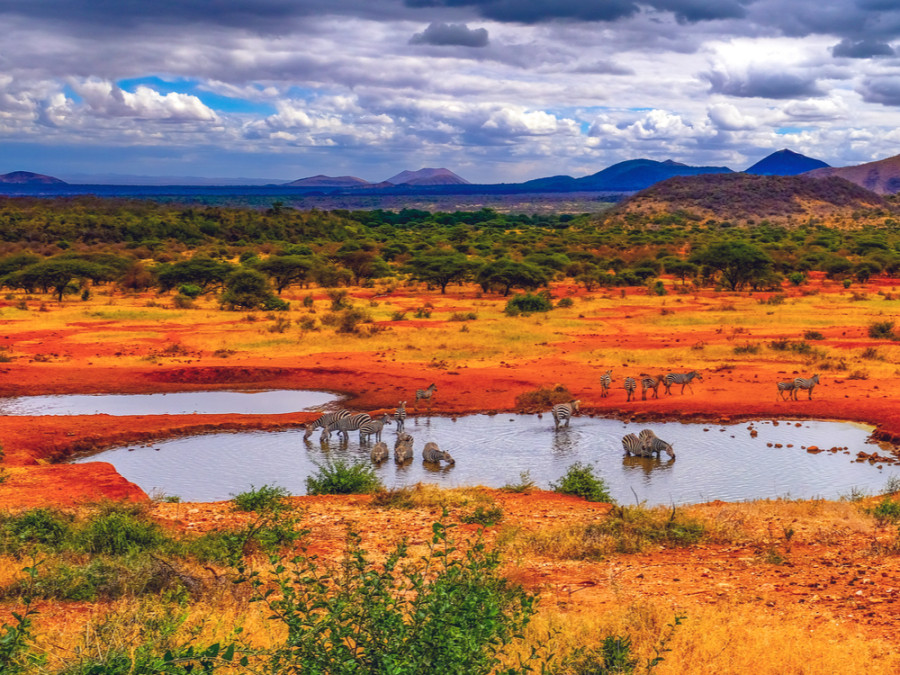 Tsavo West Nationaal Park