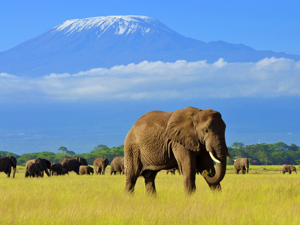 Amboseli