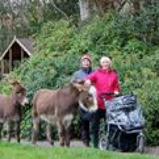 Afbeelding voor Natuurhuisje - Leuk huisje