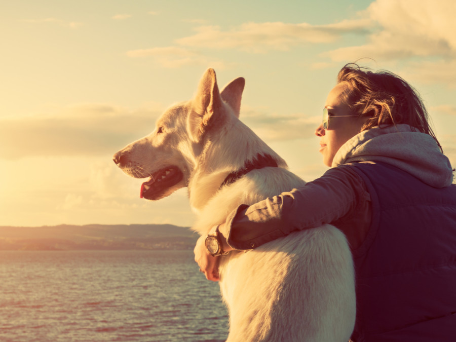 Vakantie met hond | Natuur losloopgebieden