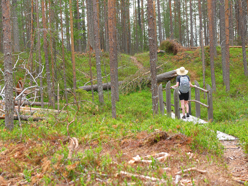 Wandelen in Taivalkoski