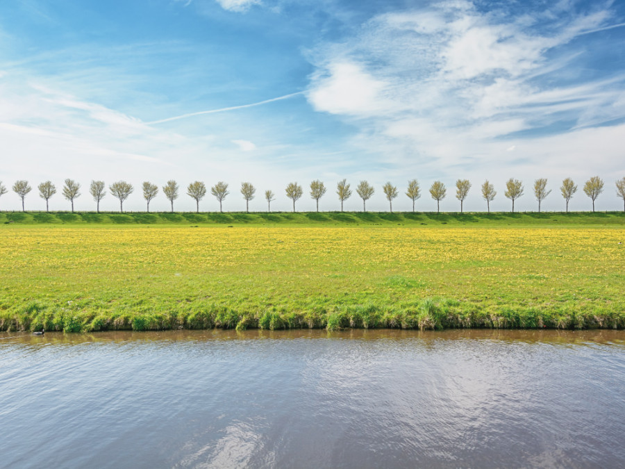 Natuur rond Volendam