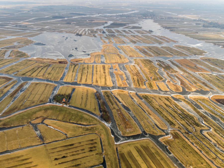 Wormerveld en Jisperveld Laag Holland