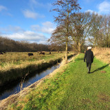 Afbeelding voor Laarzenpaden