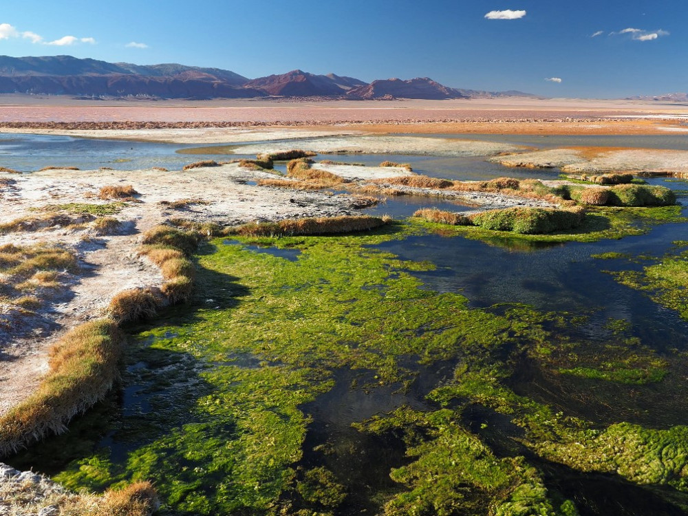 Laguna de Carachi Pampa