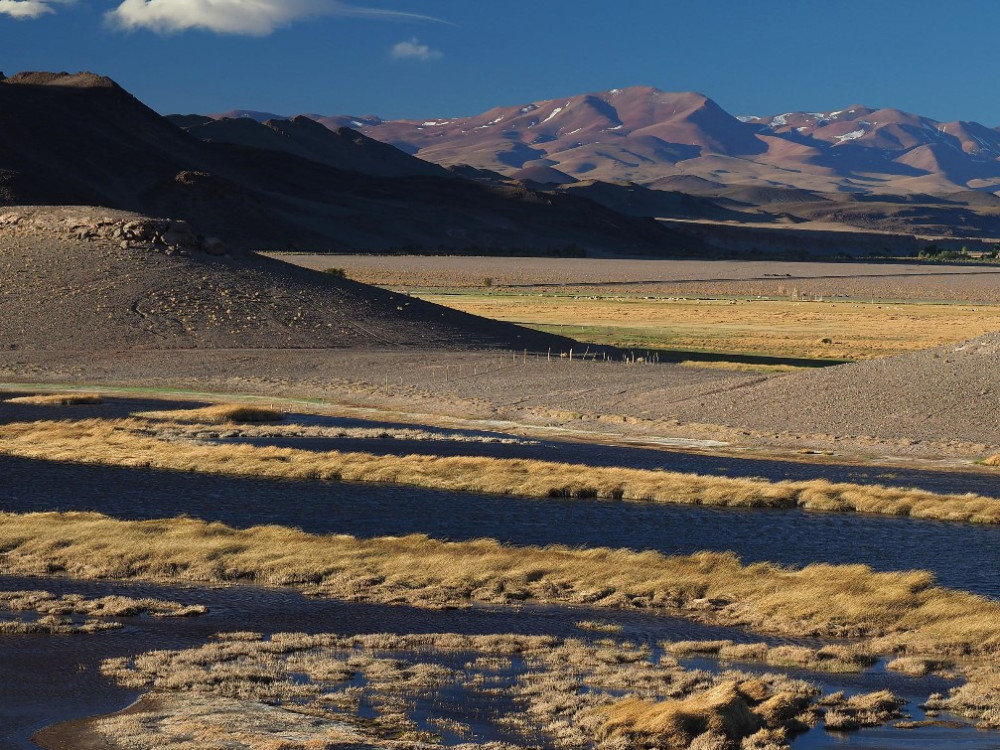 Laguna de Antofagasta