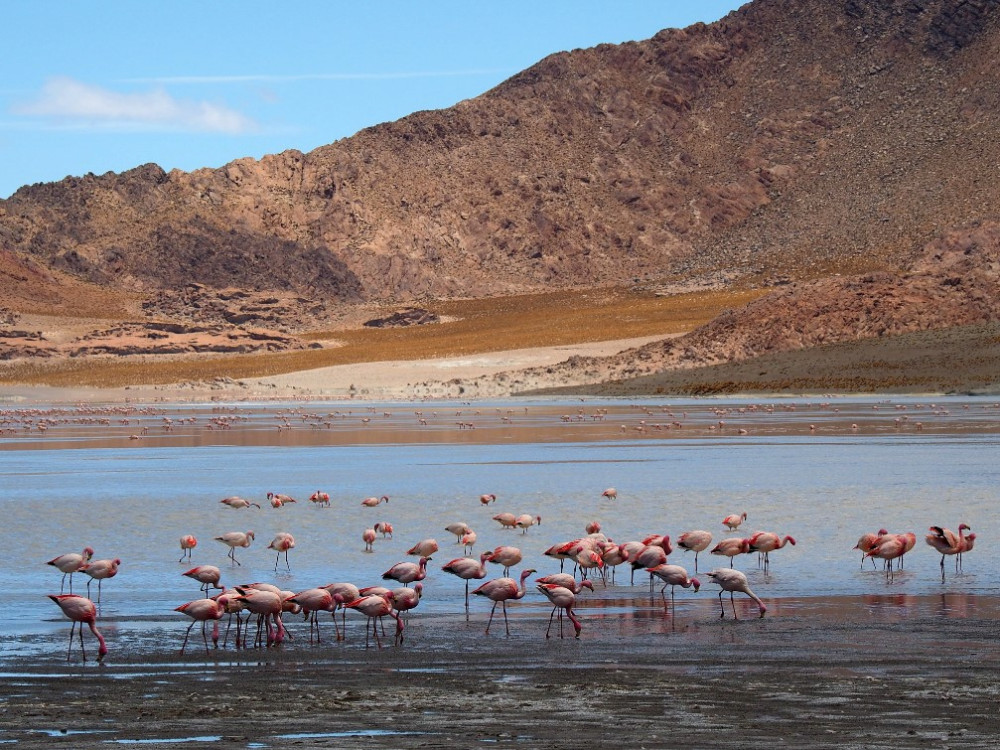 Laguna Grande