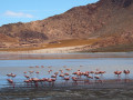 Laguna Grande