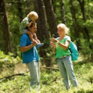 Afbeelding voor Landal - Vakantie in de natuur