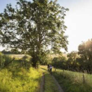 Afbeelding voor Landal GreenParks - De Cauberg