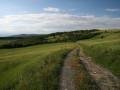 Toscane