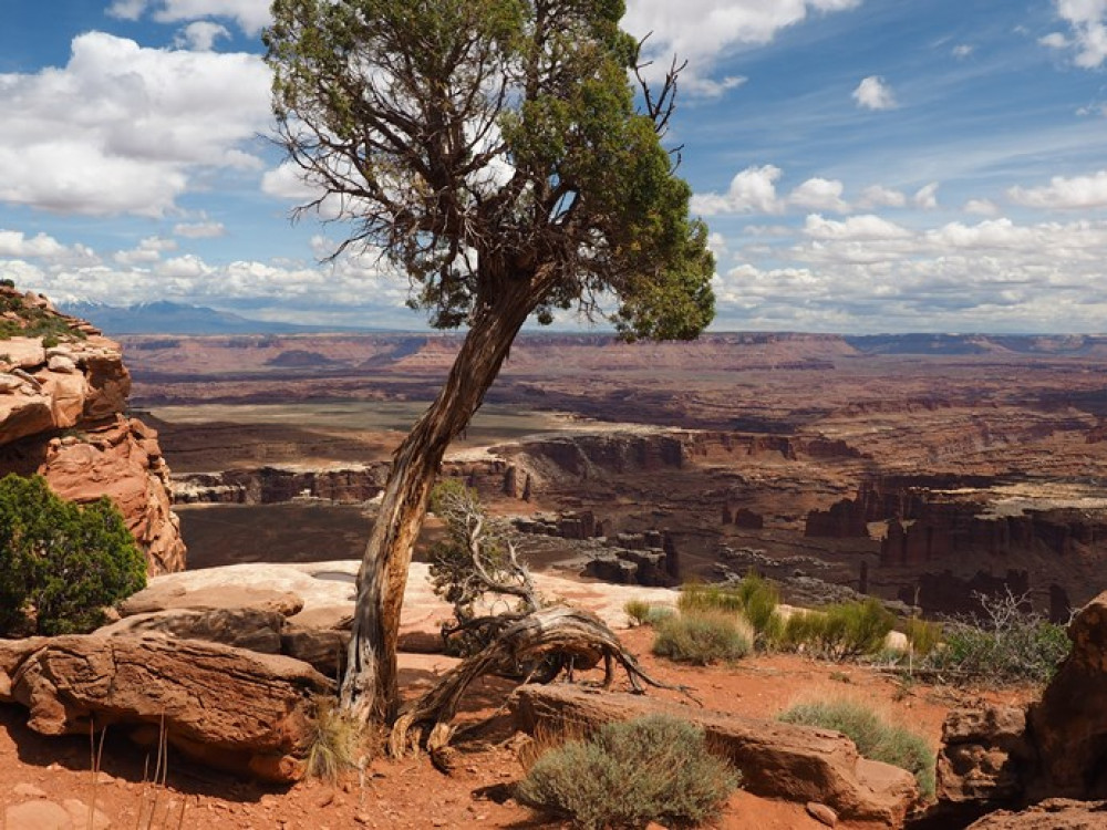 Canyonlands