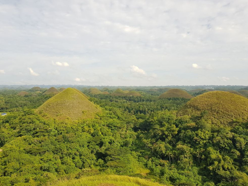 Chocolate hills, Bohol