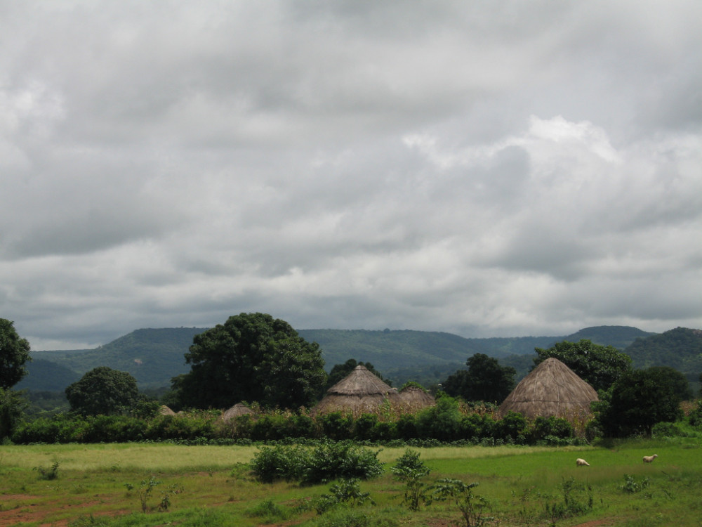 Guinee natuur