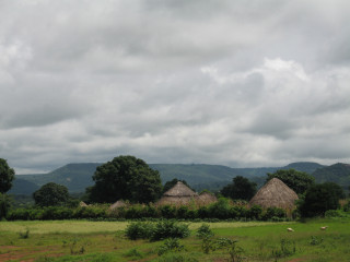 Afbeelding voor Guinee natuur