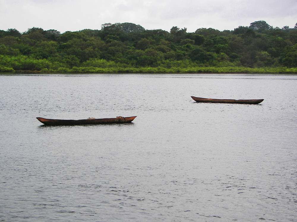 Guinee Bissau natuur - Buba rivier