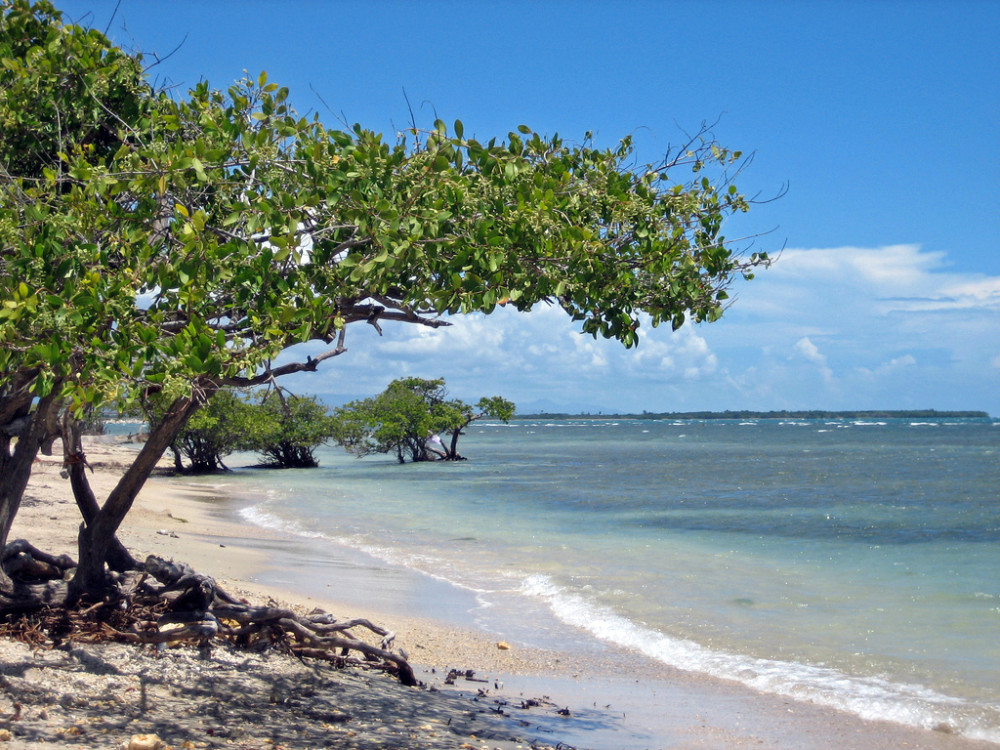 Natuur Puerto Rico