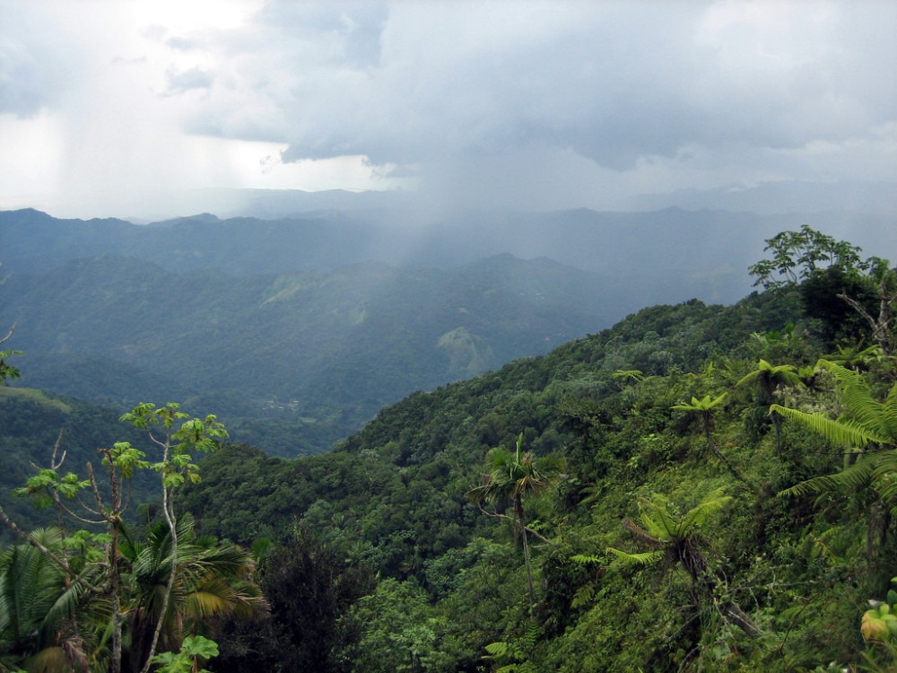 Jayuya