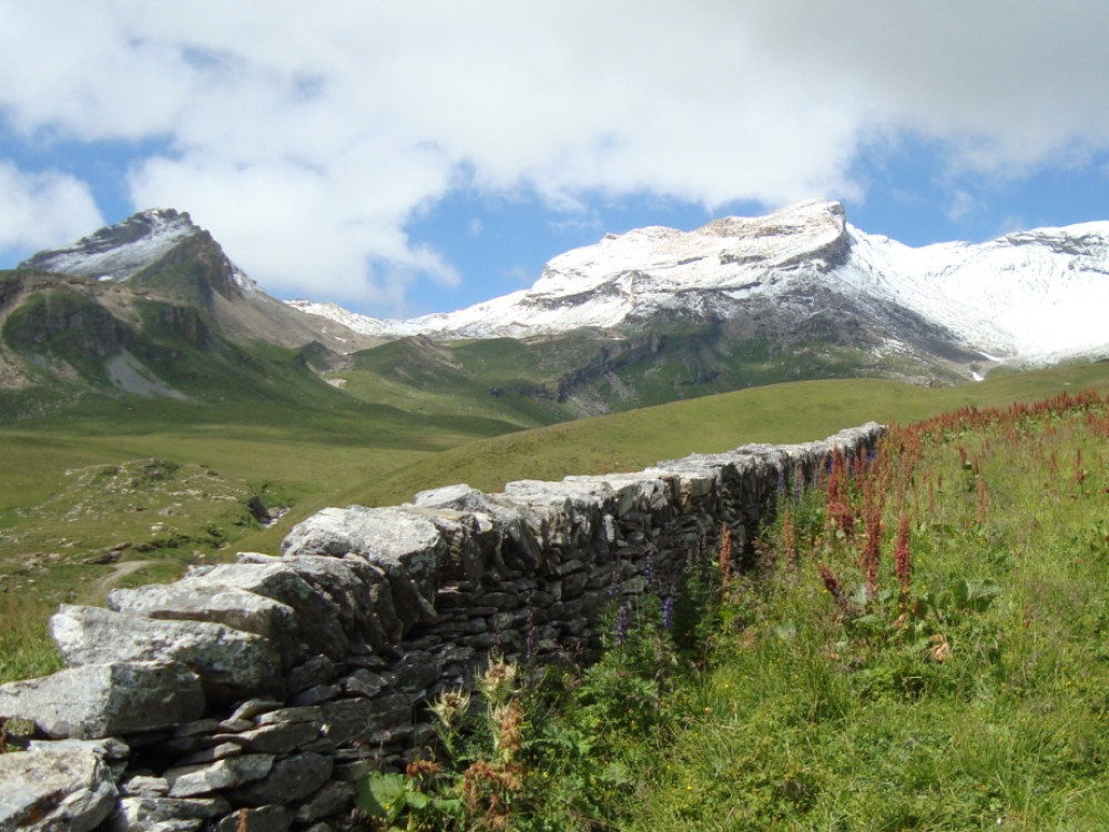 Zwitserland natuur