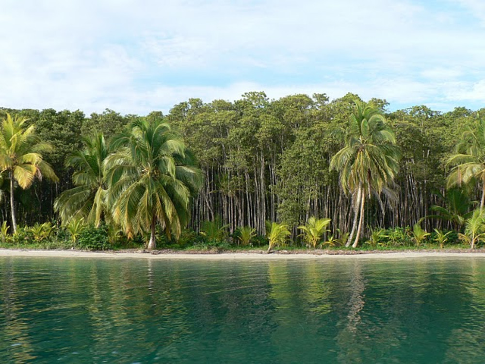 Panama natuur