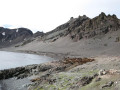 Livingston Island