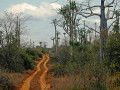 Angola natuur