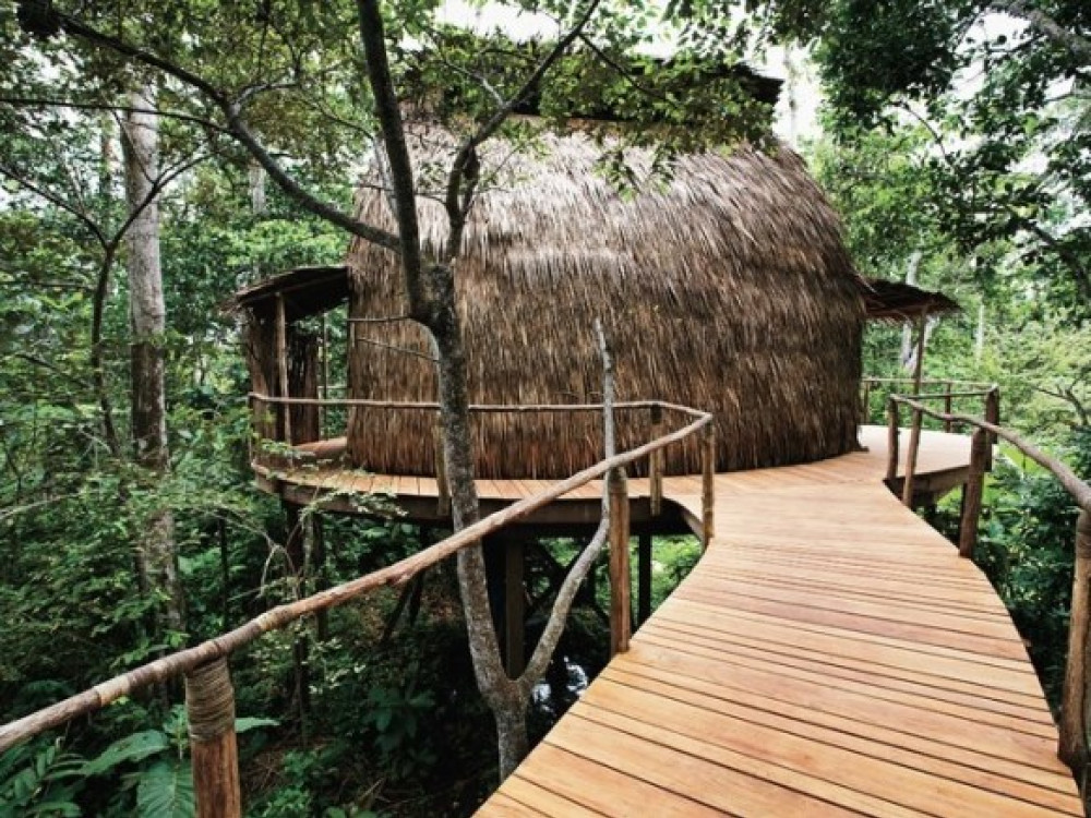 Kamp in Odzala NP