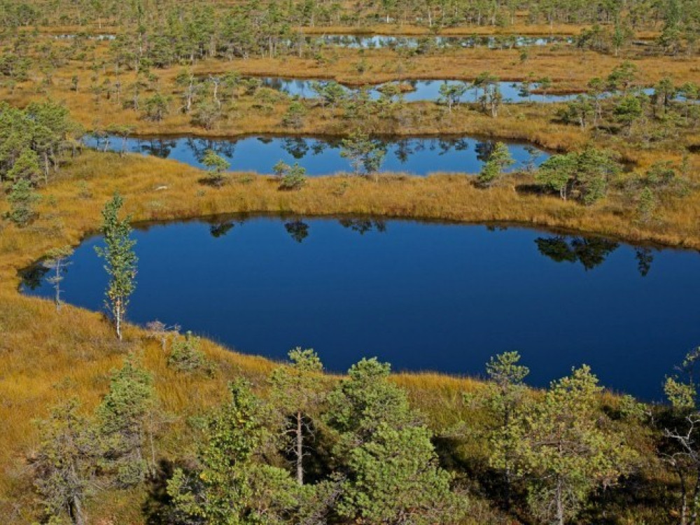 Kemeri Nationaal Park