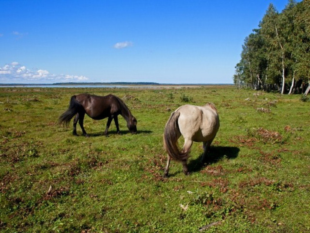 Gevarieerde natuur