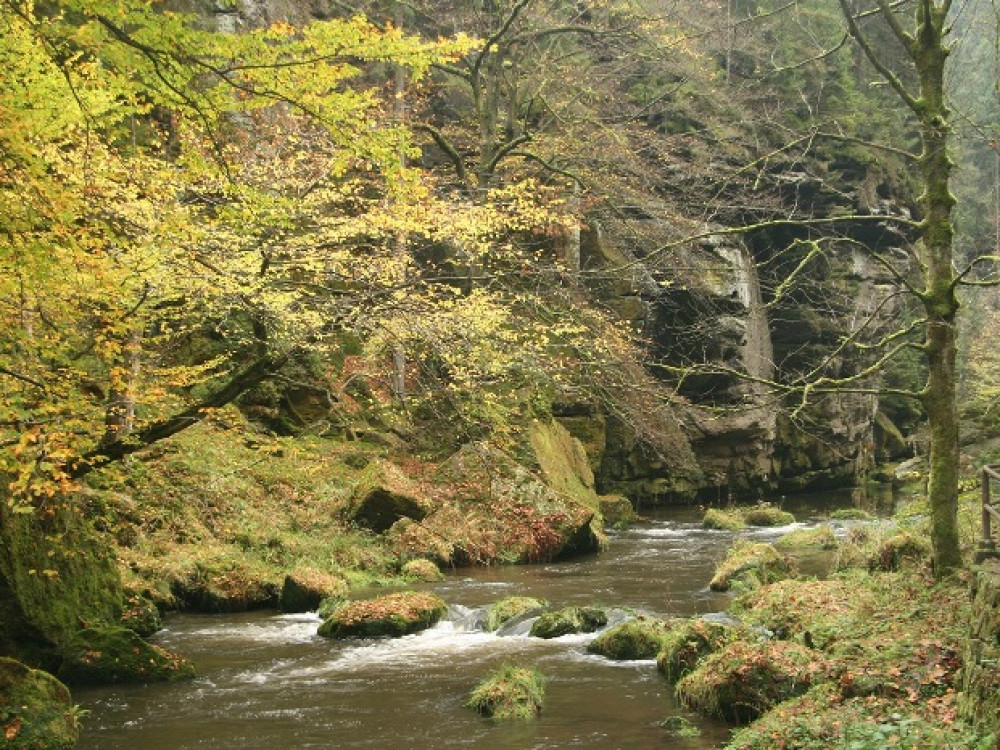 Natuur Tsjechië