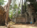 Tempels Ta Phrom