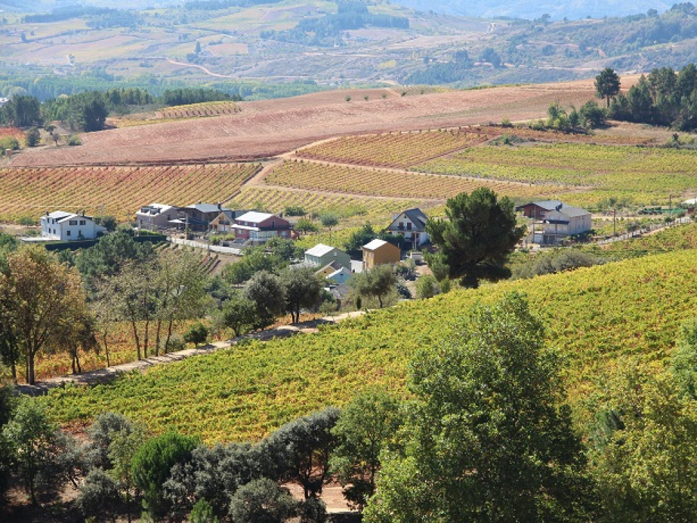 Bierzo - León