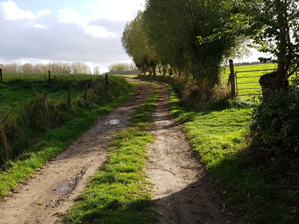 Vlaamse Ardennen