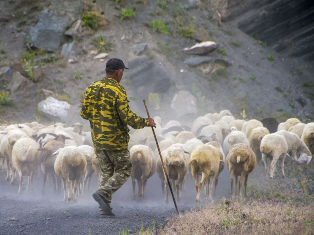 Herder Armenië