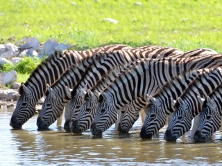 Afbeelding voor Tanzania