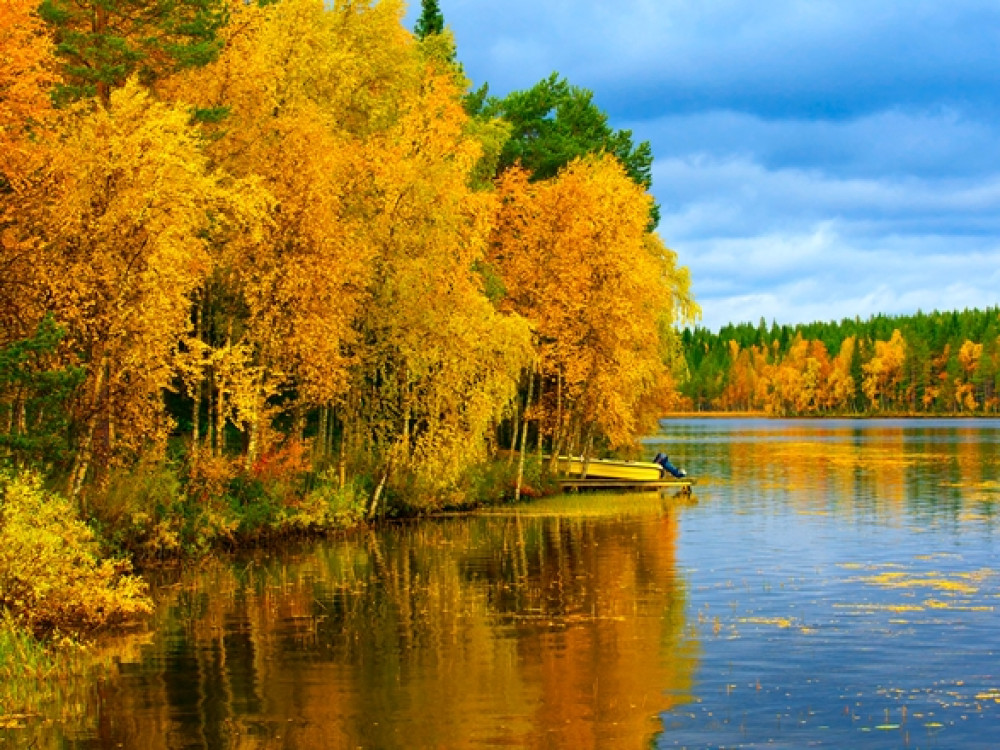 Natuur in Finland