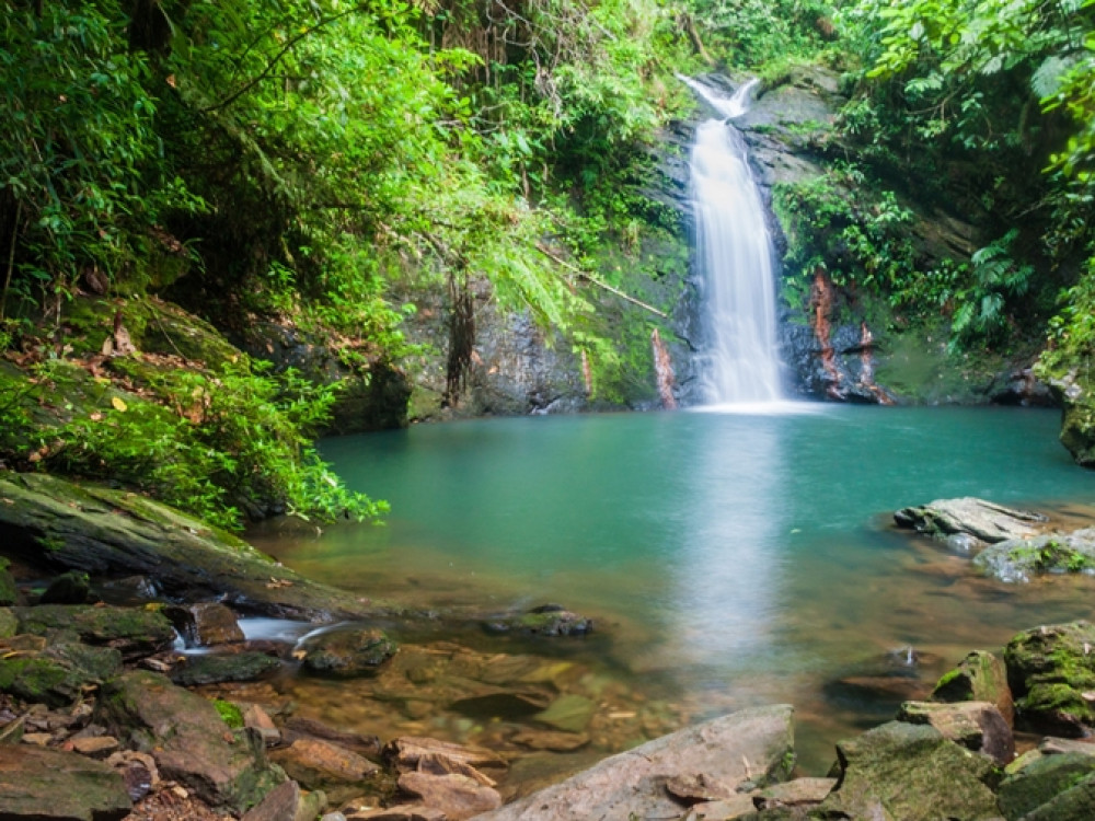 Tiger Firn falls