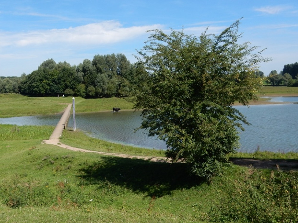 Blauwe Kamer Rhenen