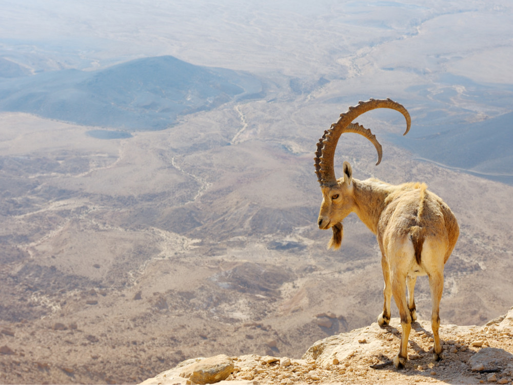 Natuur Israël