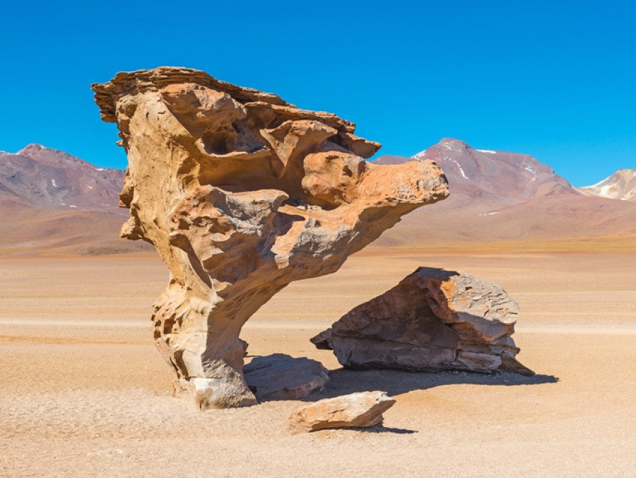 Natuurreis Bolivia