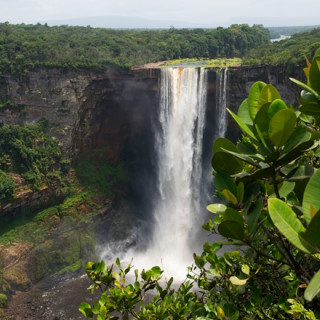 Afbeelding voor Guyana natuur